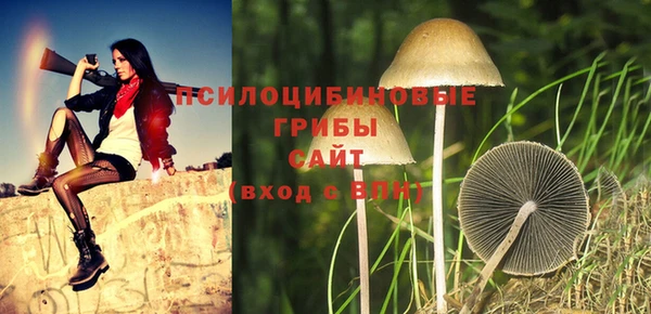 mdpv Алзамай