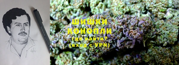 кокаин колумбия Алексин