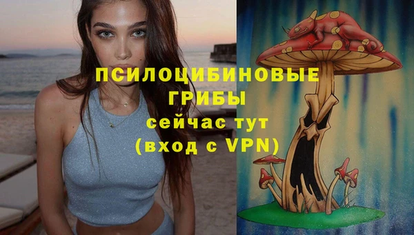 кокаин колумбия Алексин