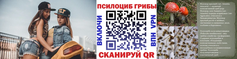 Галлюциногенные грибы GOLDEN TEACHER  Дзержинский 